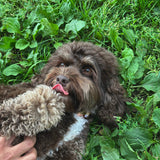 MON AMI NYC Custom Tapestry Hoodie